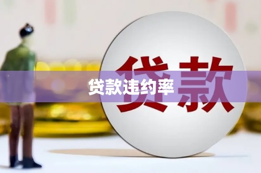 晋江贷款违约率