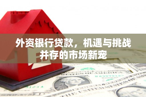 晋江外资银行贷款，机遇与挑战并存的市场新宠