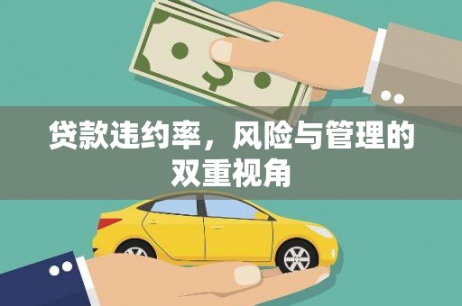 晋江贷款违约率，风险与管理的双重视角