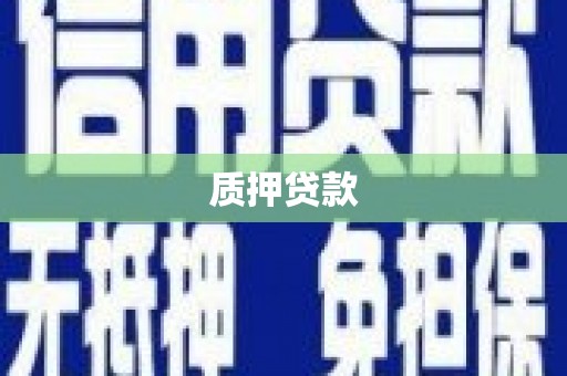 晋江质押贷款