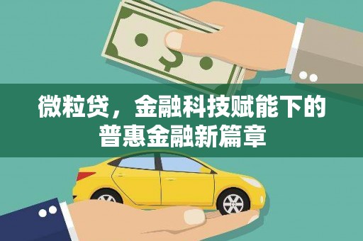 晋江微粒贷，金融科技赋能下的普惠金融新篇章