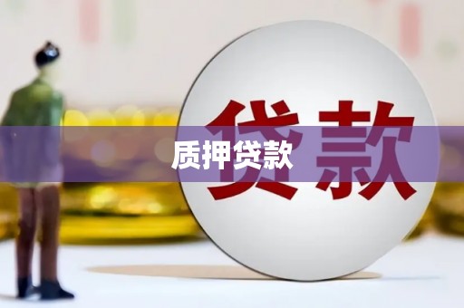 晋江质押贷款