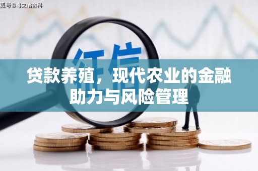 晋江贷款养殖，现代农业的金融助力与风险管理