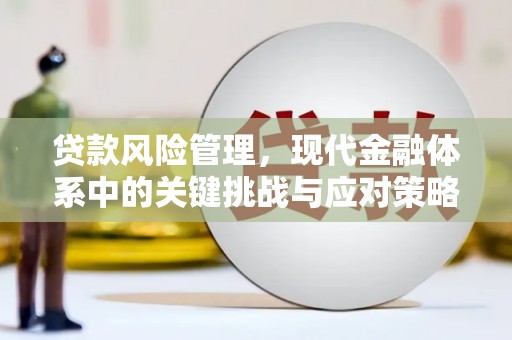 晋江贷款风险管理，现代金融体系中的关键挑战与应对策略