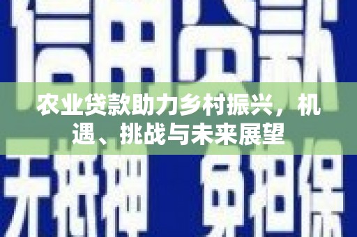晋江农业贷款助力乡村振兴，机遇、挑战与未来展望