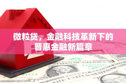 晋江微粒贷，金融科技革新下的普惠金融新篇章