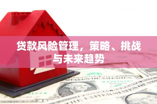 晋江贷款风险管理，策略、挑战与未来趋势