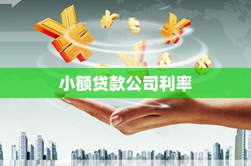 晋江小额贷款公司利率