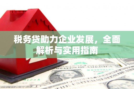 晋江税务贷助力企业发展，全面解析与实用指南