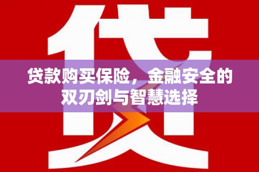 晋江贷款购买保险，金融安全的双刃剑与智慧选择