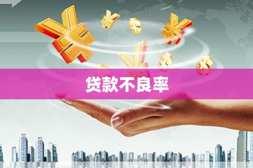 晋江贷款不良率