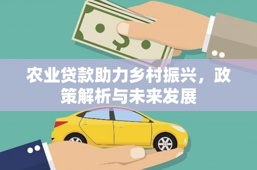晋江农业贷款助力乡村振兴，政策解析与未来发展