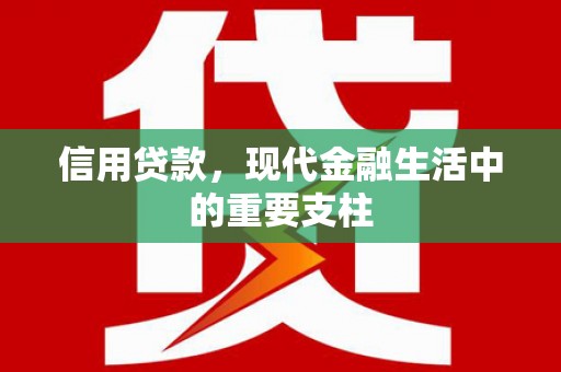 晋江信用贷款，现代金融生活中的重要支柱