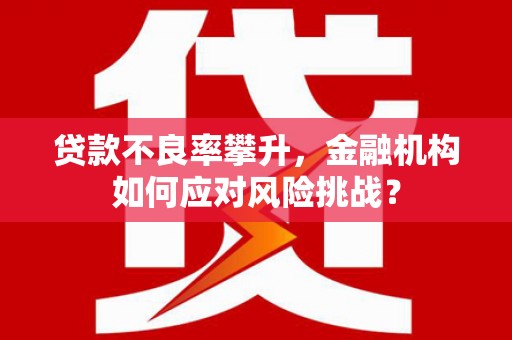 晋江贷款不良率攀升，金融机构如何应对风险挑战？