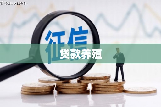 晋江贷款养殖