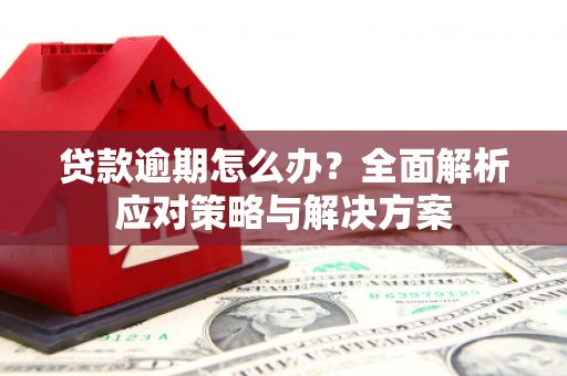 晋江贷款逾期怎么办？全面解析应对策略与解决方案