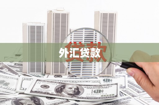 晋江外汇贷款