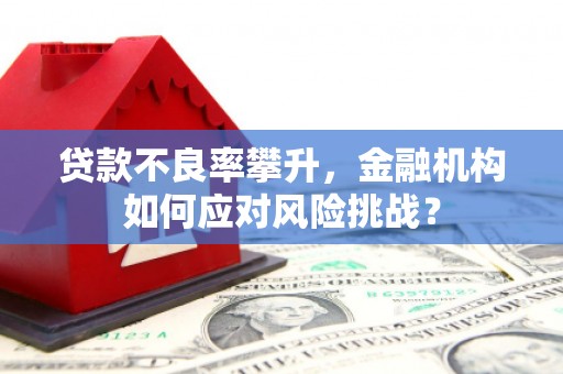 晋江贷款不良率攀升，金融机构如何应对风险挑战？