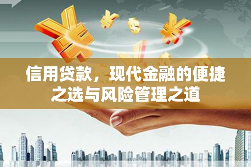 晋江信用贷款，现代金融的便捷之选与风险管理之道