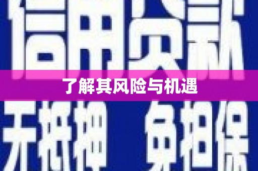 晋江了解其风险与机遇