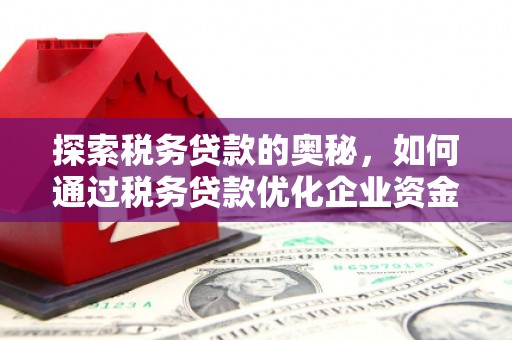 晋江探索税务贷款的奥秘，如何通过税务贷款优化企业资金流