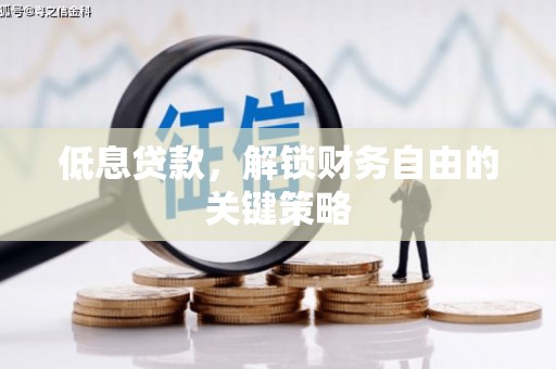 晋江低息贷款，解锁财务自由的关键策略