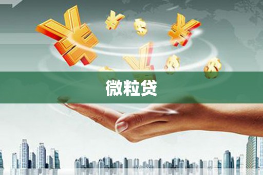 晋江微粒贷
