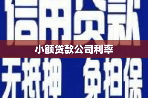 晋江小额贷款公司利率