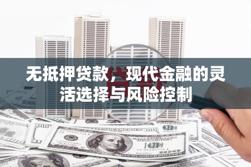 晋江无抵押贷款，现代金融的灵活选择与风险控制