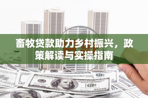 晋江畜牧贷款助力乡村振兴，政策解读与实操指南