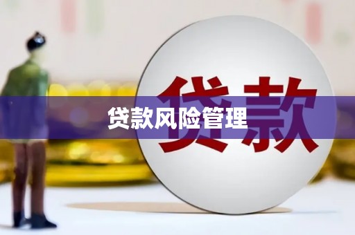 晋江贷款风险管理
