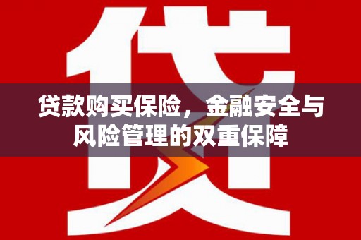 晋江贷款购买保险，金融安全与风险管理的双重保障