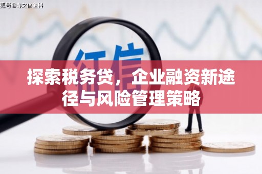 晋江探索税务贷，企业融资新途径与风险管理策略