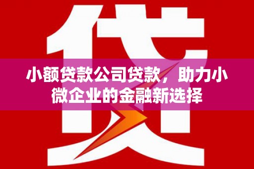 晋江小额贷款公司贷款，助力小微企业的金融新选择