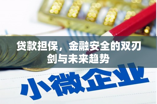 晋江贷款担保，金融安全的双刃剑与未来趋势