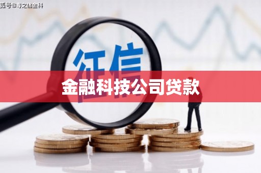 晋江金融科技公司贷款