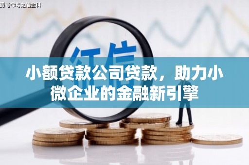 晋江小额贷款公司贷款，助力小微企业的金融新引擎