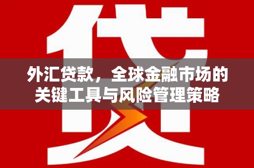 晋江外汇贷款，全球金融市场的关键工具与风险管理策略