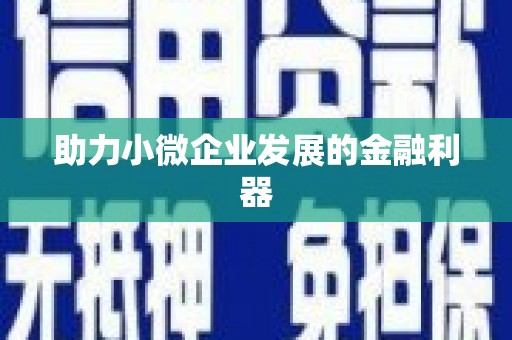 晋江助力小微企业发展的金融利器