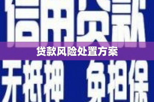 晋江贷款风险处置方案