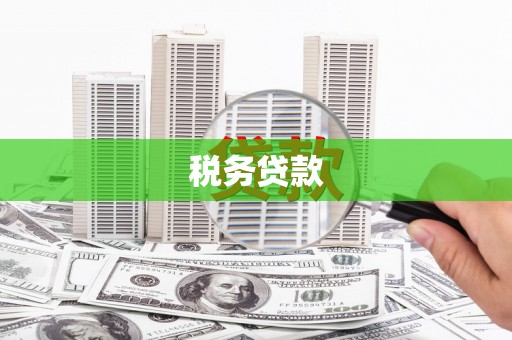 晋江税务贷款