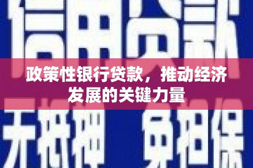 晋江政策性银行贷款，推动经济发展的关键力量