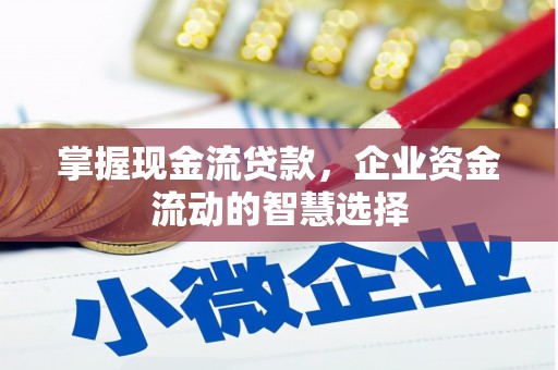 晋江掌握现金流贷款，企业资金流动的智慧选择