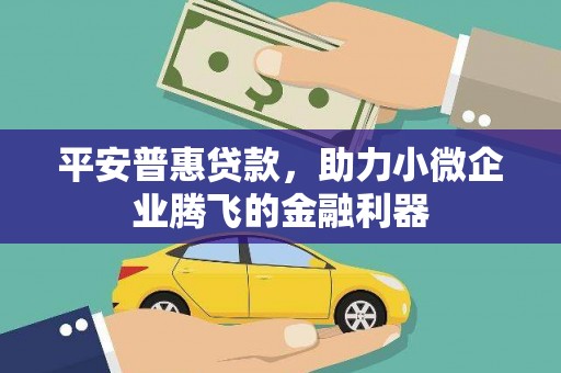 晋江平安普惠贷款，助力小微企业腾飞的金融利器