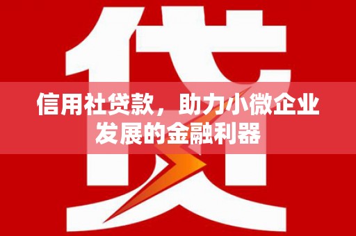 晋江信用社贷款，助力小微企业发展的金融利器