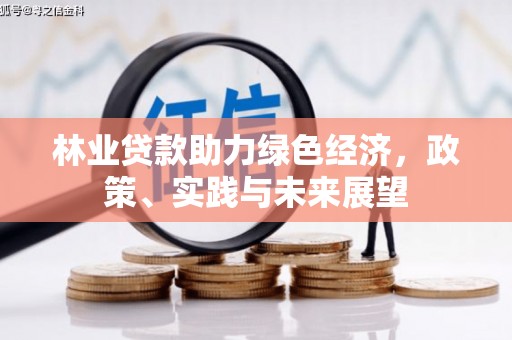 晋江林业贷款助力绿色经济，政策、实践与未来展望