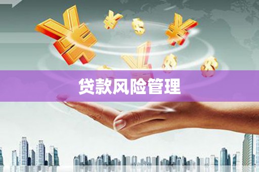 晋江贷款风险管理