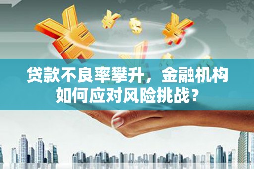 晋江贷款不良率攀升，金融机构如何应对风险挑战？