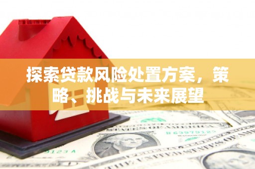 晋江探索贷款风险处置方案，策略、挑战与未来展望