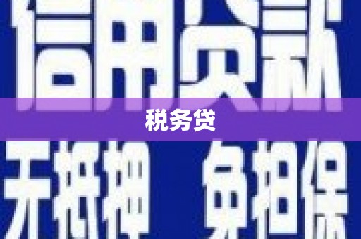 晋江税务贷